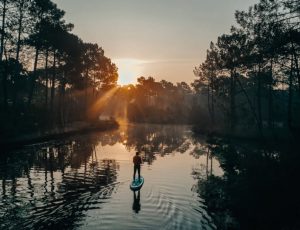 Lire la suite à propos de l’article Les lacs du Médoc