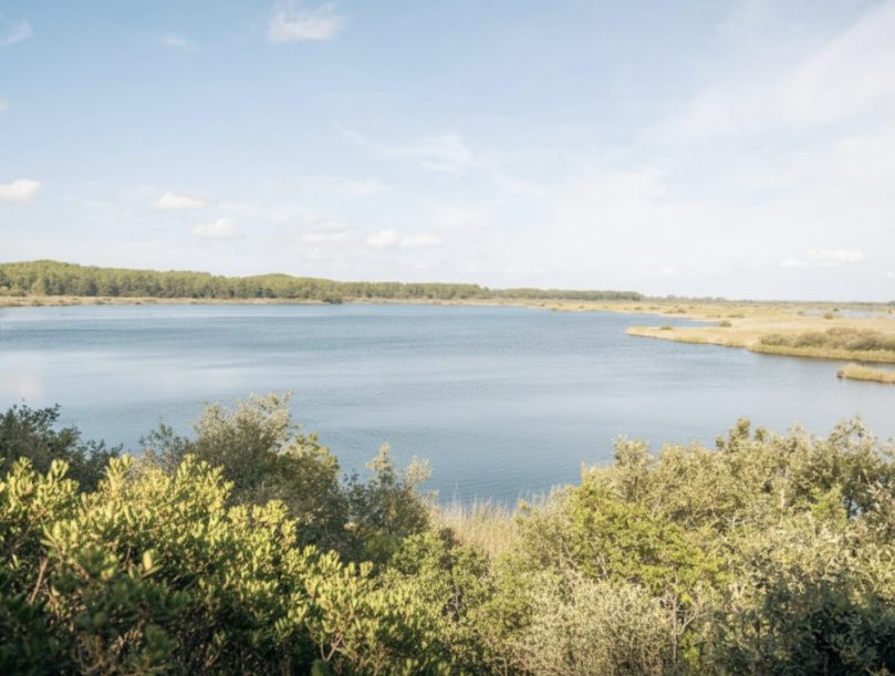chateau-grattequina-médoc-parc