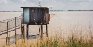 Lire la suite à propos de l’article À la découverte du Parc naturel régional du Médoc : nature, patrimoine et escapade au Château Grattequina